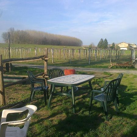 Agriturismo Antica Golena Guastalla Extérieur photo
