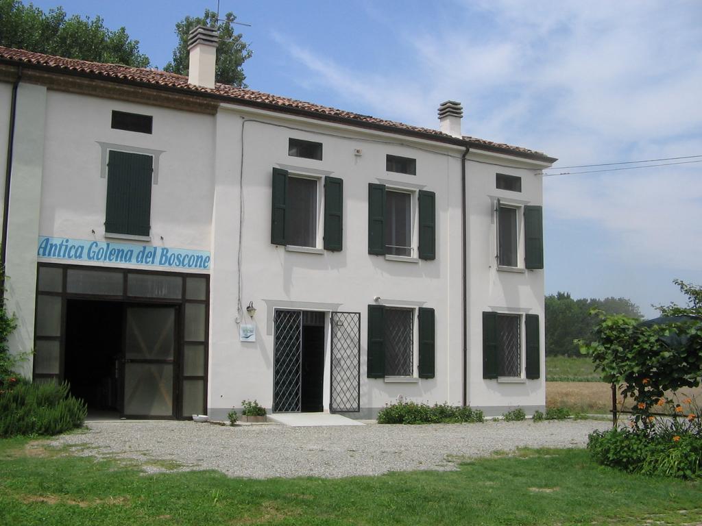 Agriturismo Antica Golena Guastalla Extérieur photo