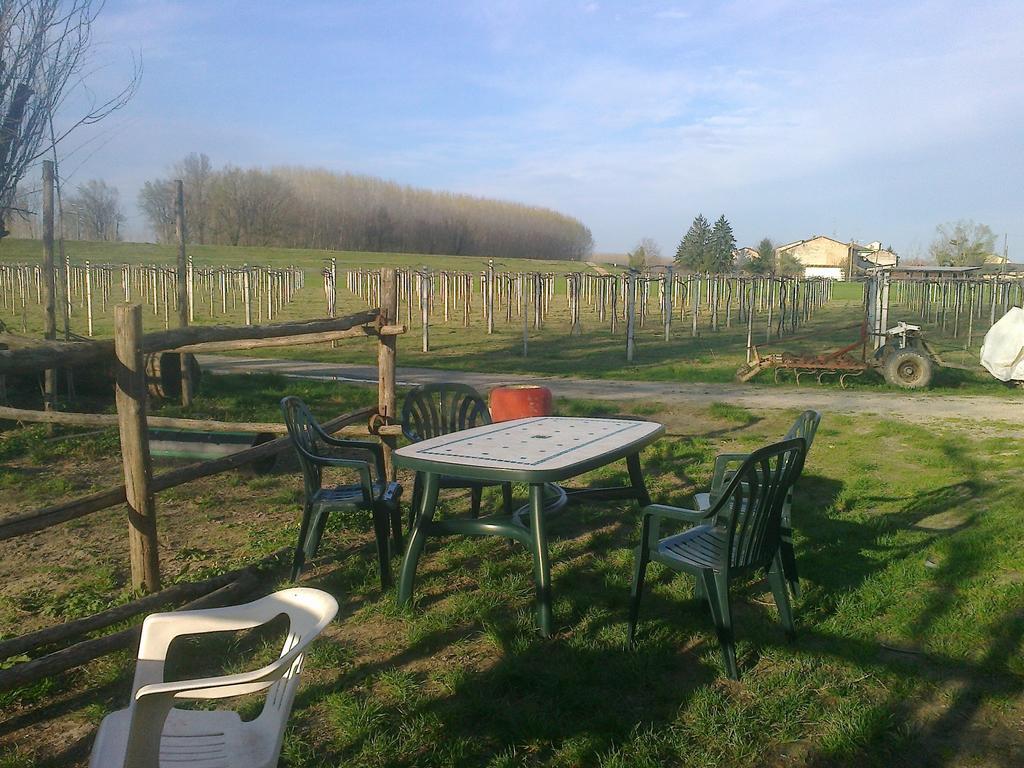 Agriturismo Antica Golena Guastalla Extérieur photo